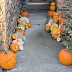 Classic Pumpkin Package